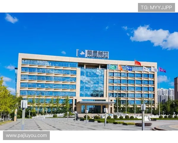 凯发集团平台免费下载安全可靠，保障您的账号信息安全